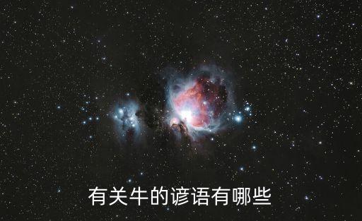 關于牛的諺語，有關牛的諺語有哪些