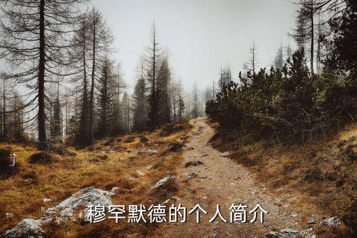 穆罕默德的個人簡介
