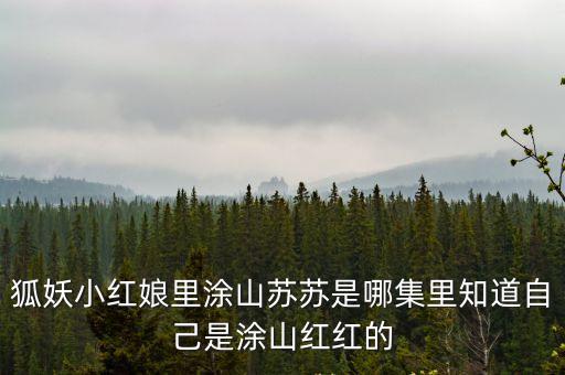 狐妖小紅娘里涂山蘇蘇是哪集里知道自己是涂山紅紅的