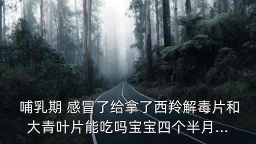  哺乳期 感冒了給拿了西羚解毒片和大青葉片能吃嗎寶寶四個(gè)半月...