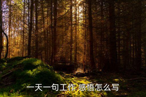 一天一句工作 感悟怎么寫