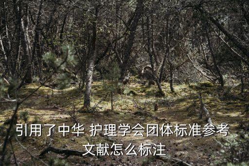 護(hù)理文獻(xiàn),博士文獻(xiàn)分為四個(gè)階段提出或論述的文獻(xiàn)摘要
