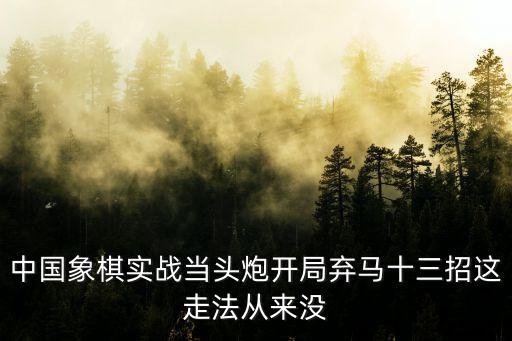 中國(guó)象棋實(shí)戰(zhàn)，象棋實(shí)戰(zhàn)技巧