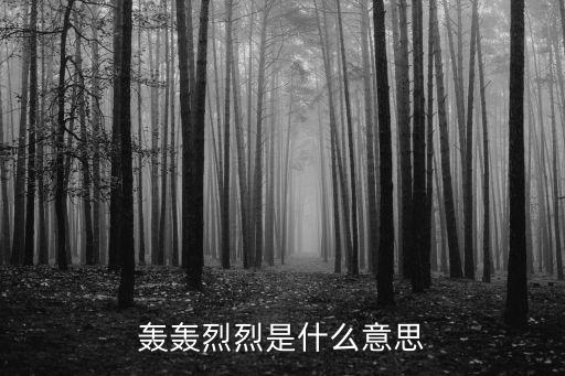 轟轟烈烈是什么意思