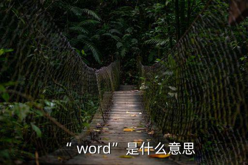 word是什么意思