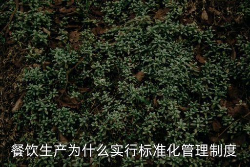 餐飲標(biāo)準(zhǔn)化，什么是中餐標(biāo)準(zhǔn)化