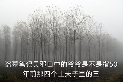 盜墓筆記吳邪口中的爺爺是不是指50年前那四個(gè)土夫子里的三