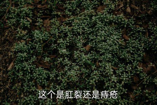 這個是肛裂還是痔瘡