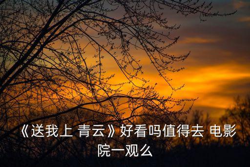 《送我上 青云》好看嗎值得去 電影院一觀么