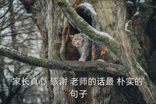 感謝老師最樸實的句子,一文讀懂!孩子的成長歷程