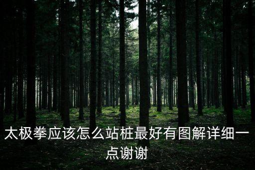太極站樁，太極拳術中的站樁