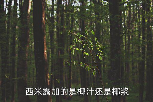 黃桃西米露,西米露一直用椰奶椰奶味道更濃