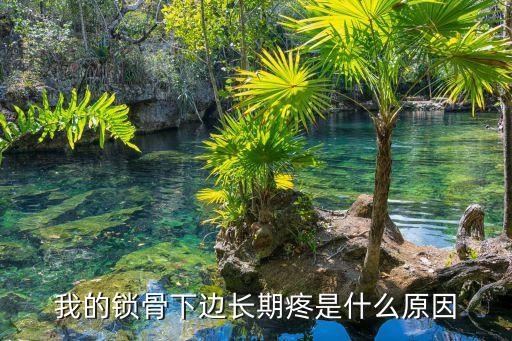 鎖骨疼，我的鎖骨下邊長期疼是什么原因