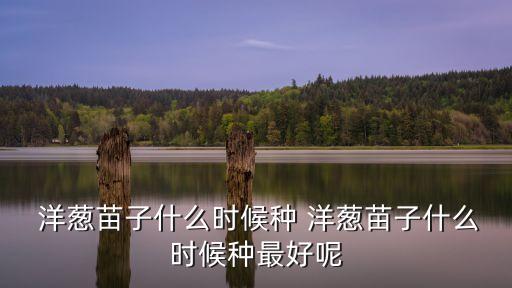 洋蔥苗,洋蔥過(guò)早育苗有害，會(huì)消耗大量養(yǎng)分