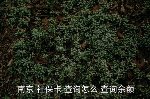  南京 社保卡 查詢怎么 查詢余額
