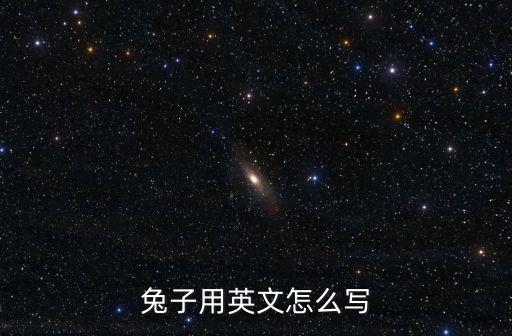 兔子用英文怎么寫