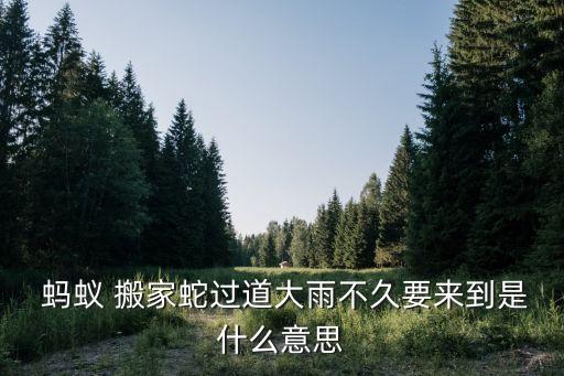 螞蟻搬家蛇過道,螞蟻搬家出現(xiàn)蛇走廊怎么辦?