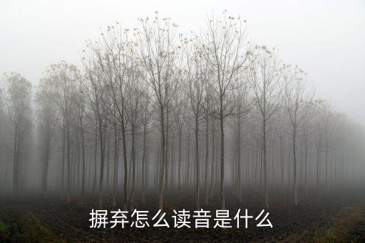 拋棄的拼音，摒棄怎么讀音是什么