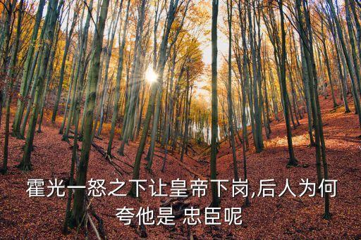 霍光是忠臣嗎,霍光沒有選擇繼承人而是選擇了另一位武忠臣