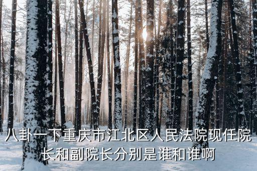 重慶市江北區(qū)人民法院副院長是誰，重慶市江北區(qū)組織部副部長部長是誰