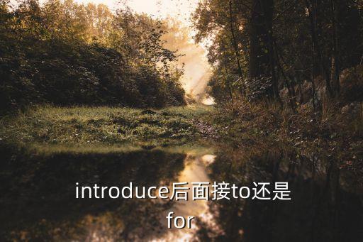 introduce,武漢出現第一起確診病例病例