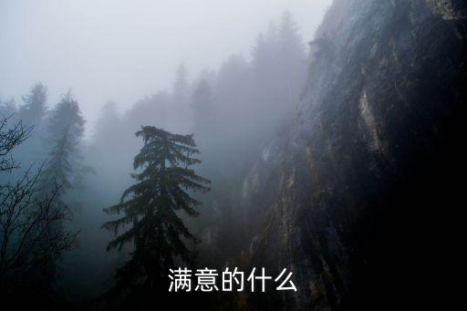 滿意的什么