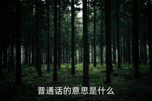 普通話的意思是什么