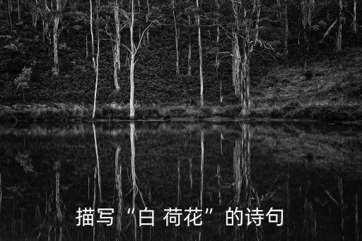 描寫“白 荷花”的詩句