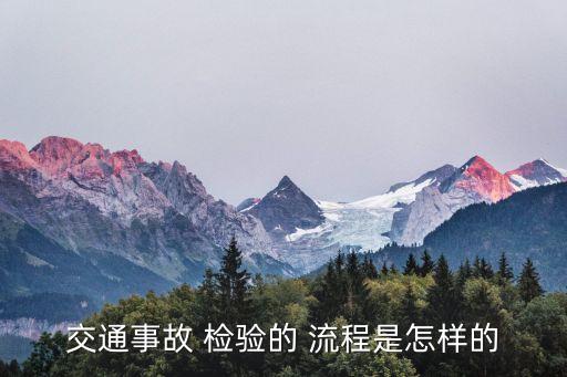 交通事故 檢驗的 流程是怎樣的