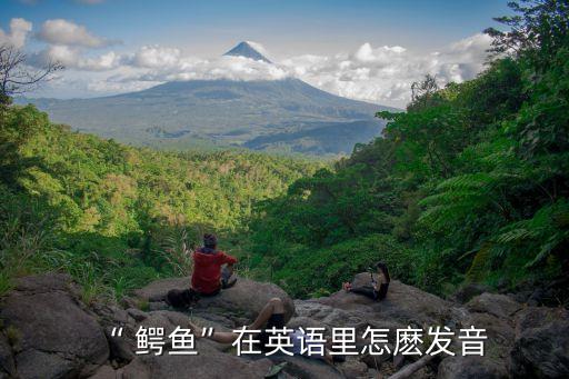 “ 鱷魚”在英語里怎麼發音