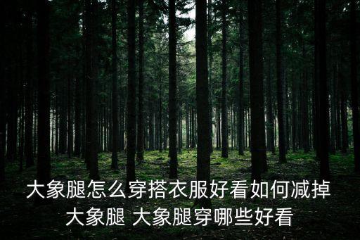  大象腿怎么穿搭衣服好看如何減掉 大象腿 大象腿穿哪些好看