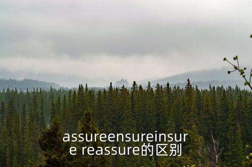 assureensureinsure reassure的區別