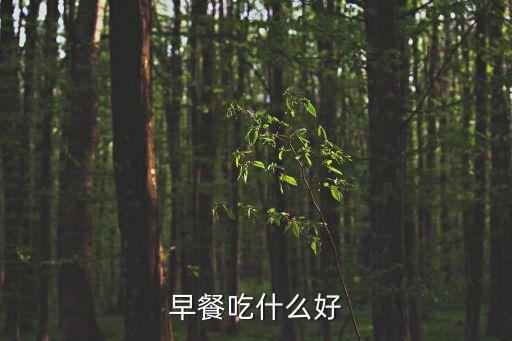 早餐吃什么比較好，早餐吃什么比較好