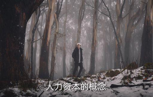 人力資本的概念
