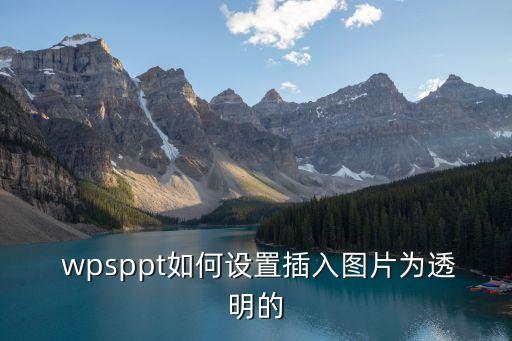 wps圖片透明度,wps添透明圖片工具:點擊文檔瀏覽器