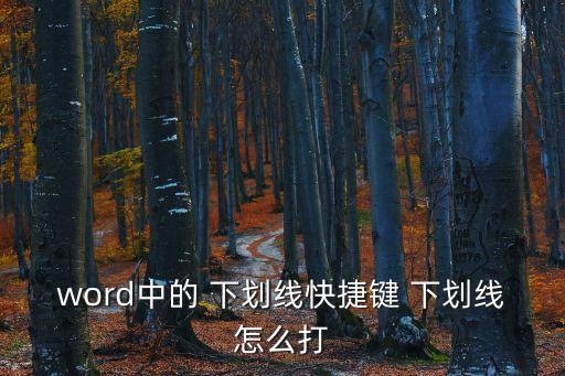 word中的 下劃線快捷鍵 下劃線怎么打