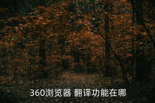  360瀏覽器 翻譯功能在哪