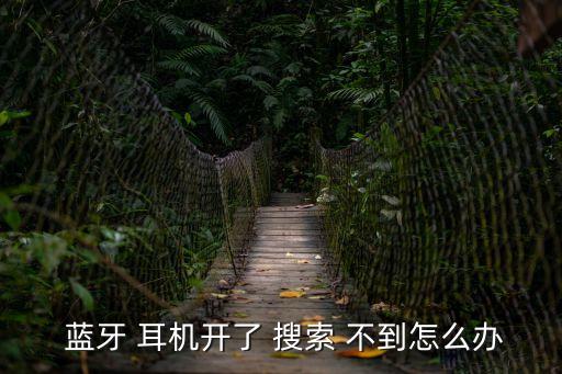  藍(lán)牙 耳機(jī)開(kāi)了 搜索 不到怎么辦