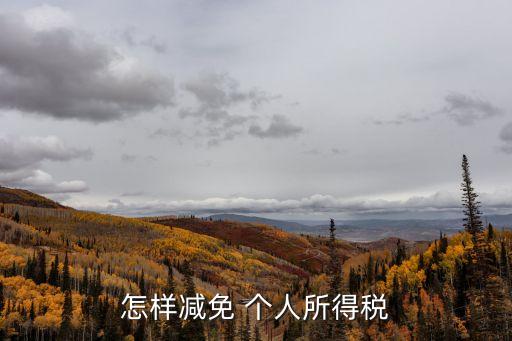 免征個人所得稅,手機上下載安裝個人所得稅app首頁