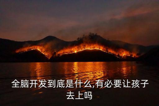 全腦思維,實現(xiàn)思維可視化技術主要包括兩種類型