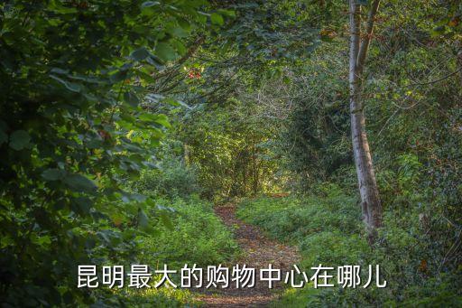 昆明最大的購物中心在哪兒