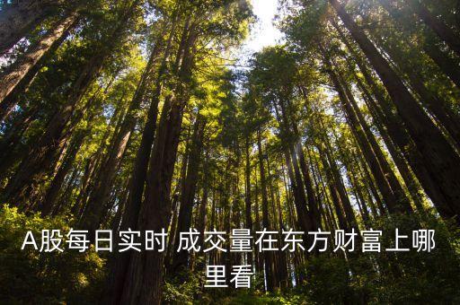 A股每日實時 成交量在東方財富上哪里看
