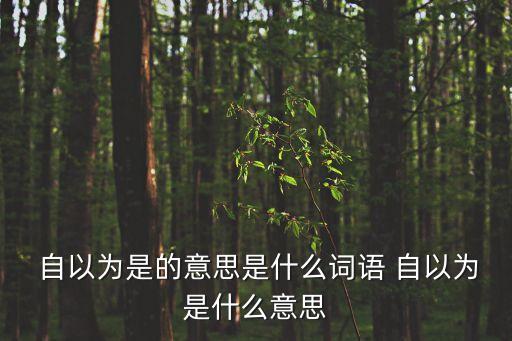  自以為是的意思是什么詞語 自以為是什么意思