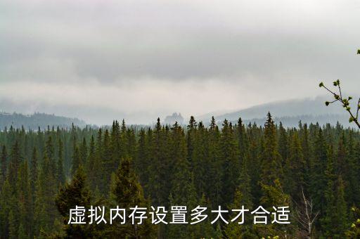 虛擬內存設置多大才合適