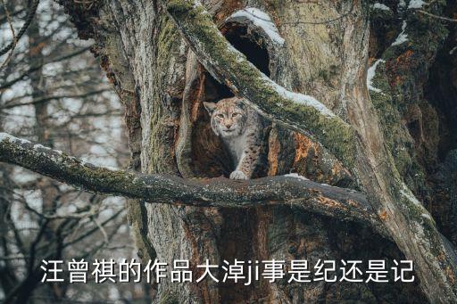 大淖記事怎么讀，汪曾祺的作品大淖ji事是紀還是記