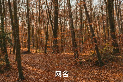 網(wǎng)名