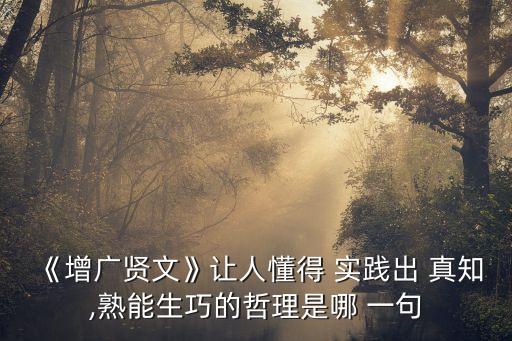 實(shí)踐出真知下一句