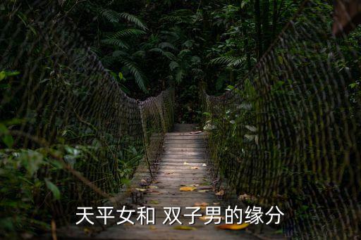 天平女和 雙子男的緣分