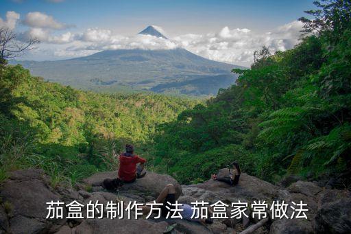 茄盒的制作方法 茄盒家常做法