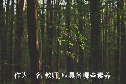 作為一名 教師,應具備哪些素養